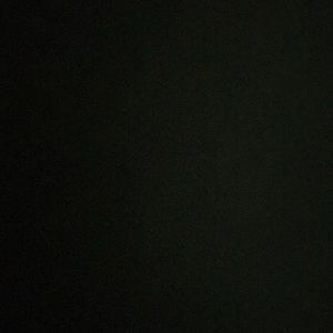 Meet your Posher, Trey